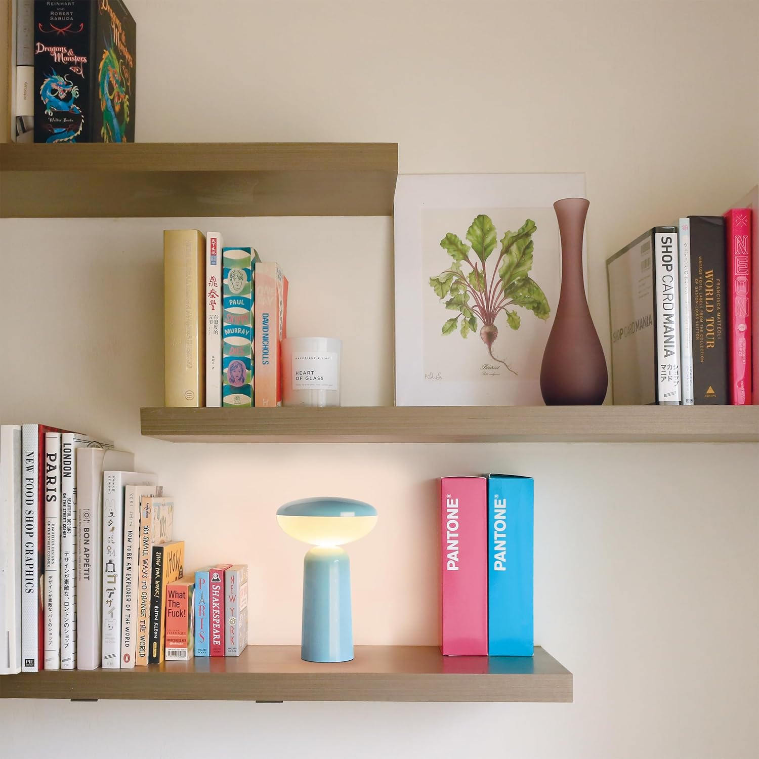 Owlpack x Si Balcon Pinot Cordless LED Table Desk Lamp Light