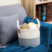 Small Woven Storage Basket with Handles - Home Zone Living